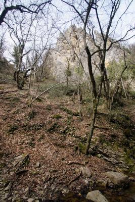 Прикрепленное изображение: A58DSC08151.jpg